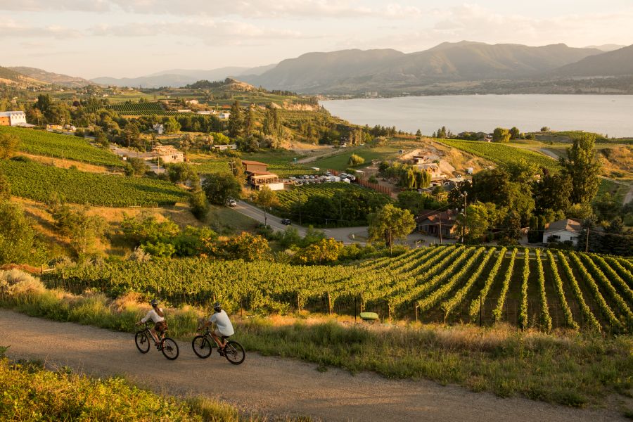 Fietsers in de Okanagan Valley in British Columbia in Canada.