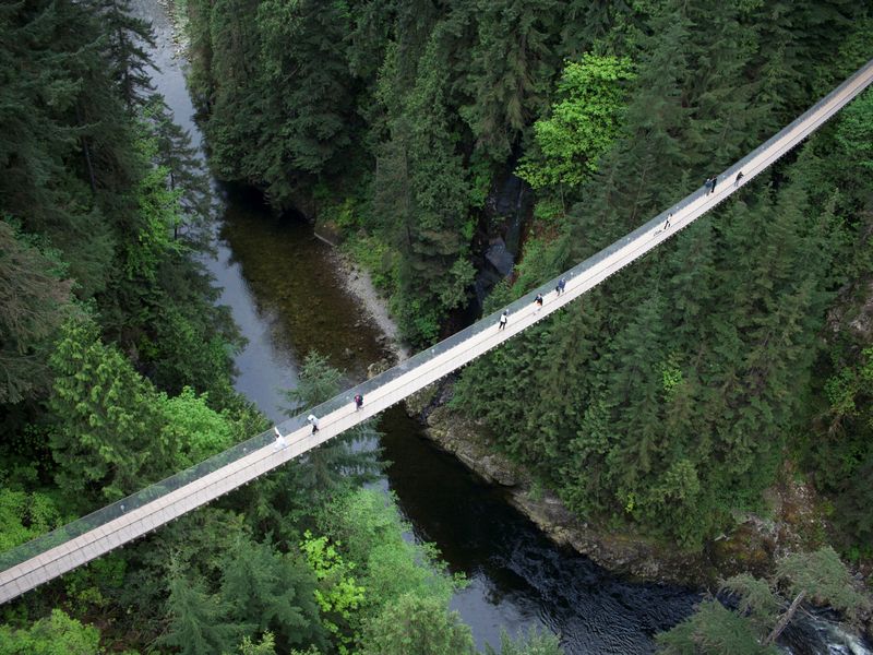 Capilano Suspension Bridge