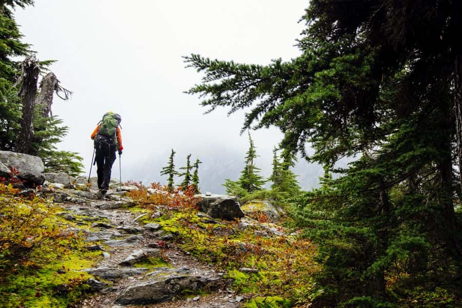 Wandelaar in Kootenay National Park in British Columbia in Canada.