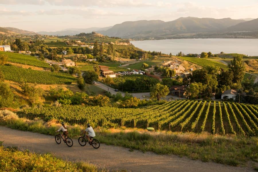 Fietsers in de Okanagan Valley in British Columbia in Canada.