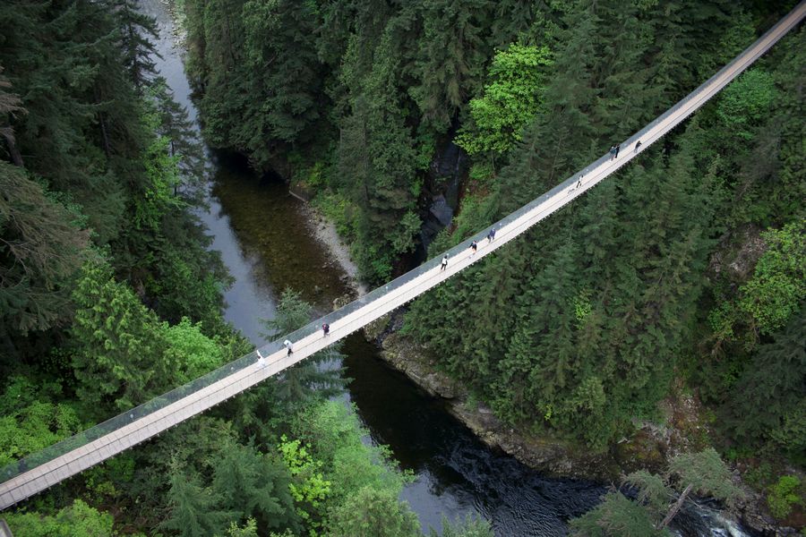Bovenaanzicht van de Capilano Suspension Bridge in British Columbia.
