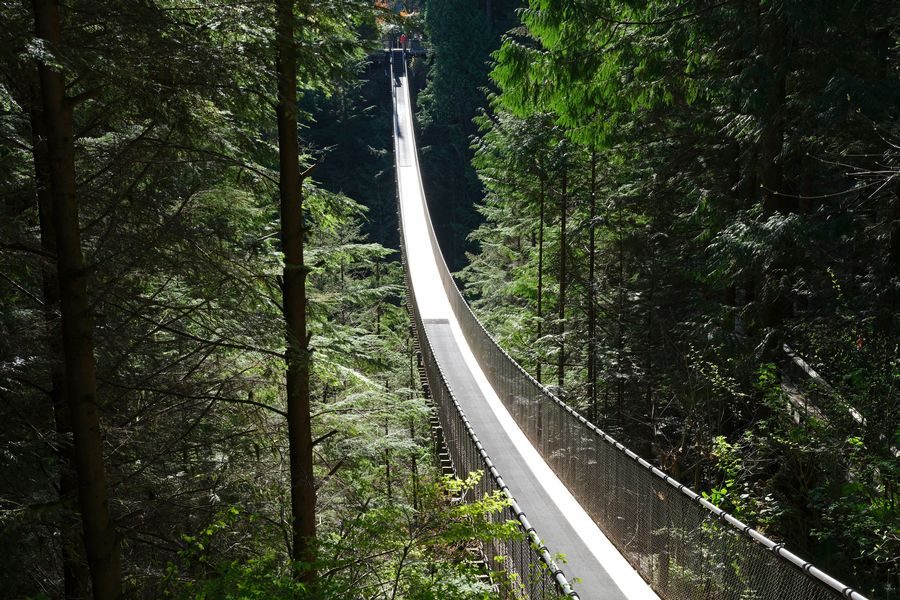 Uitzicht over de Capilano Suspension Bridge in Canada.