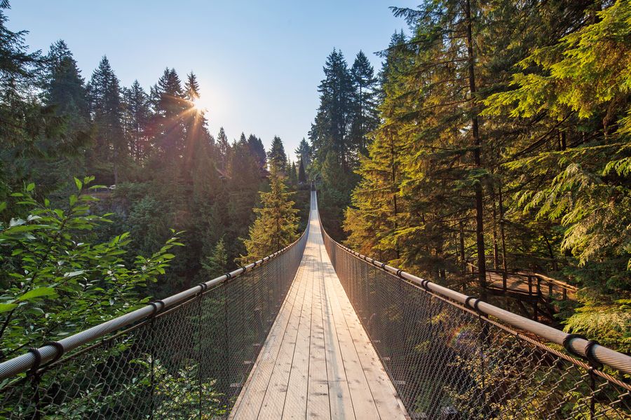 Uitzicht over de Capilano Suspension Bridge in British Columbia in Canada.