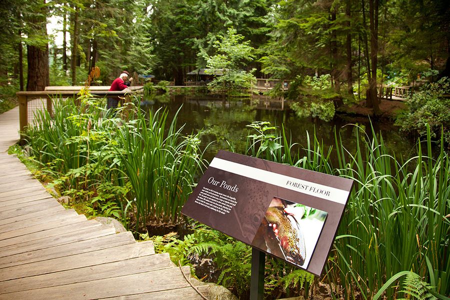 Informatiebord in Capilano Suspension Bridge Park in Canada.
