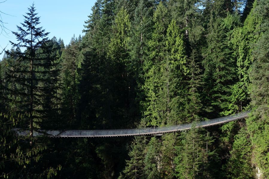 Uitzicht over de hangbrug in Capilano Suspension Bridge Park in Canada.