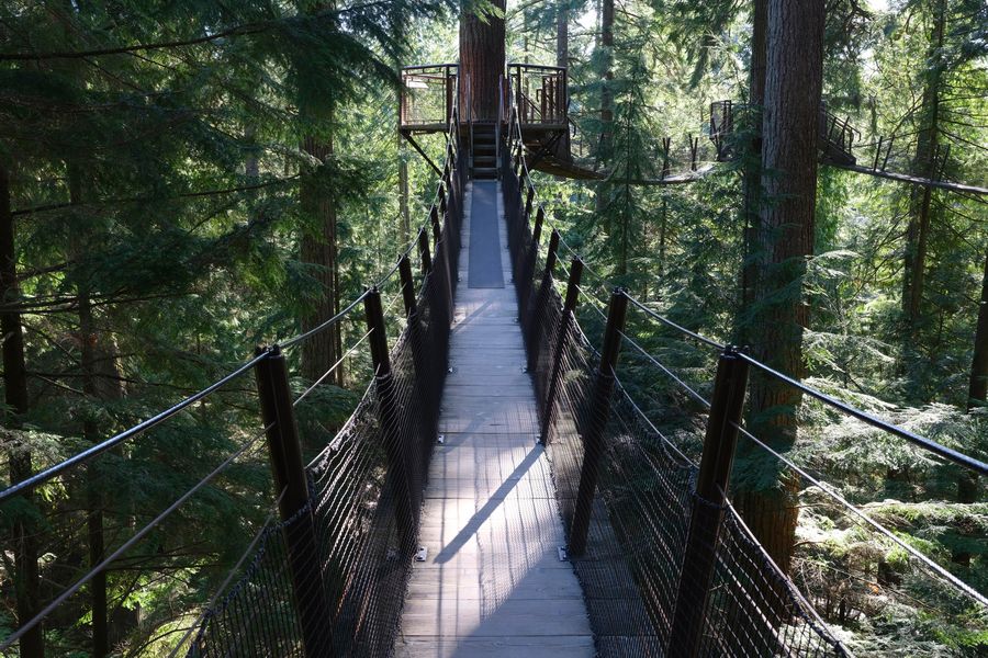 Uitzicht over het boomkroonpad in Capilano Suspension Bridge Park in British Columbia.
