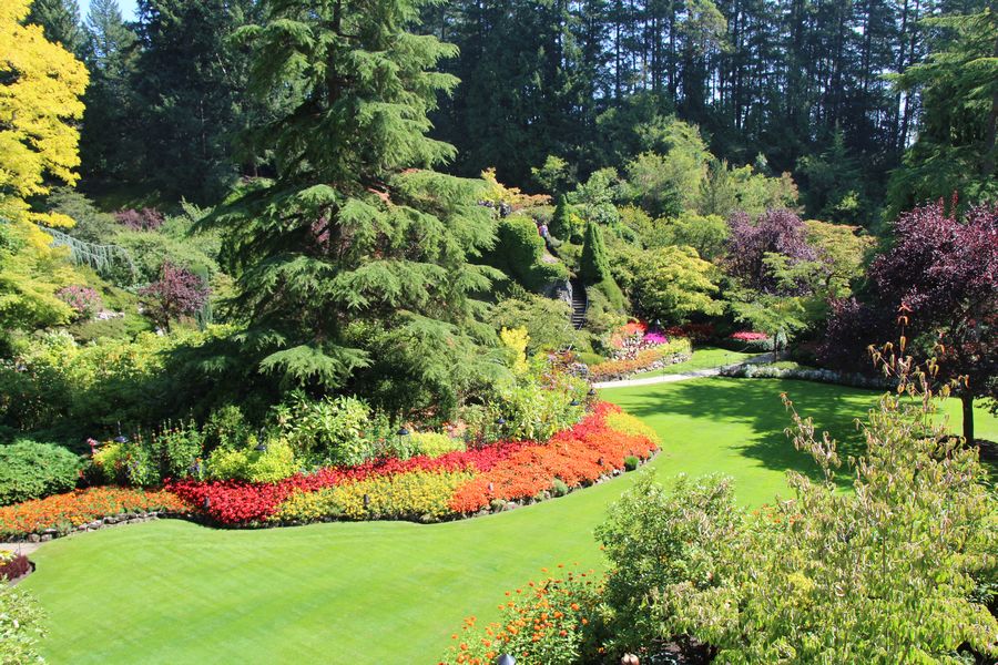 Bomen en struiken in Butchart Gardens in Canada.