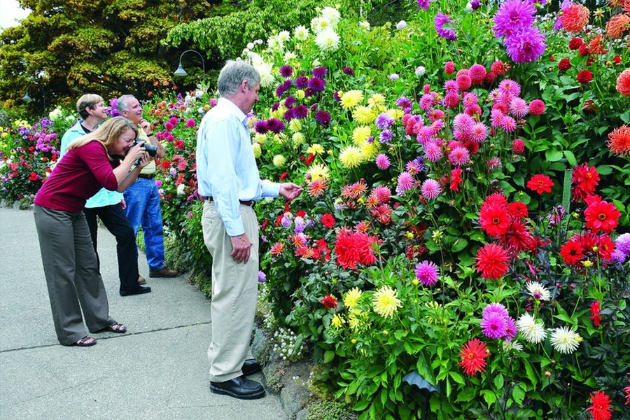 Bezoekers in Butchart Gardens in Victoria in Canada.