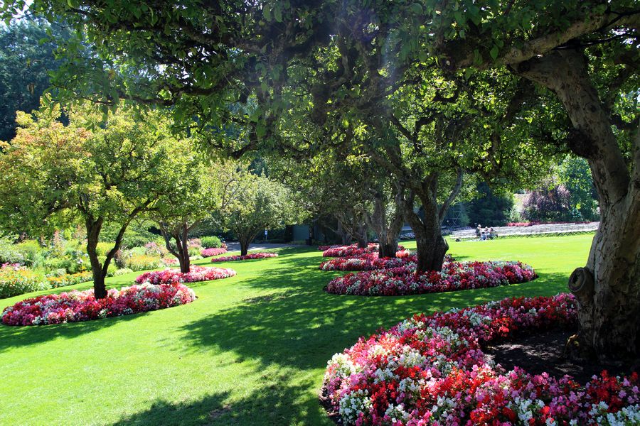 Grasveld met bomen in Butchart Gardens in Victoria in Canada.
