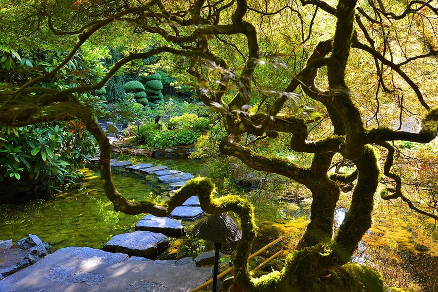 Stapstenen door een vijver in Butchart Gardens in Canada.