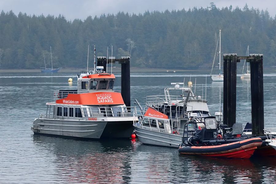 Boot van West Coast Aquatic Safaris ligt aan de kade in Tofino tijdens een walvistocht in West-Canada