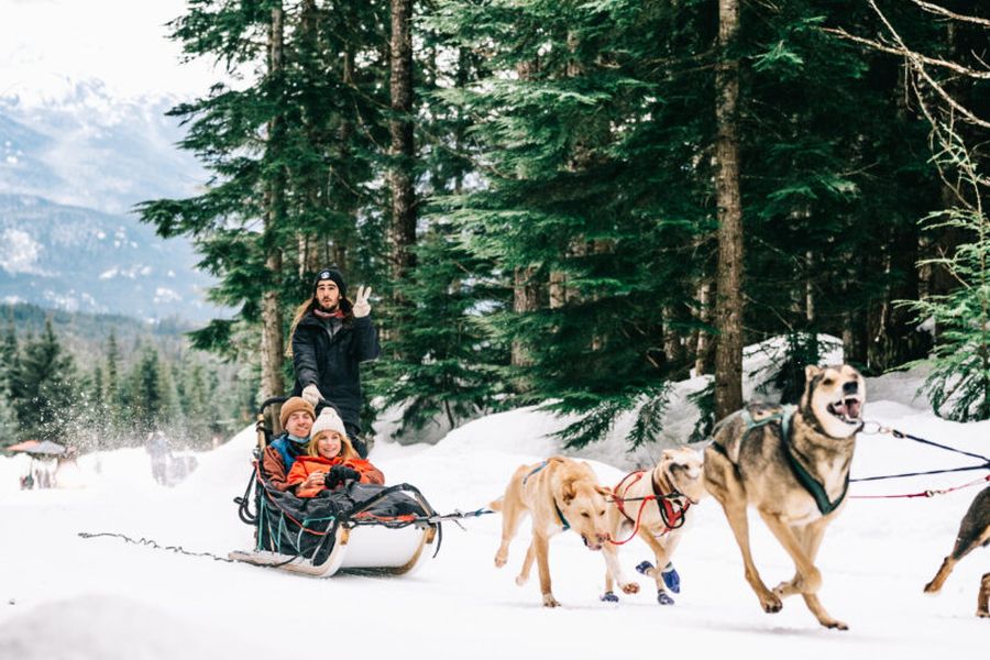 Passagiers op een slee tijdens een huskytocht in Whistler in Canada.