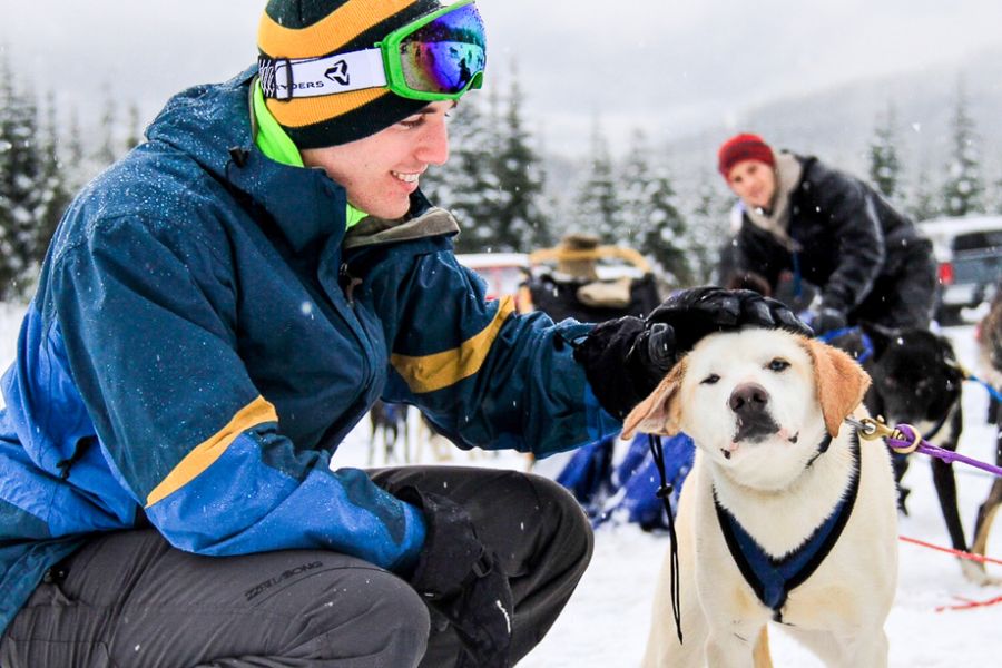 Man aait husky tijdens een huskytocht in Whistler in Canada.
