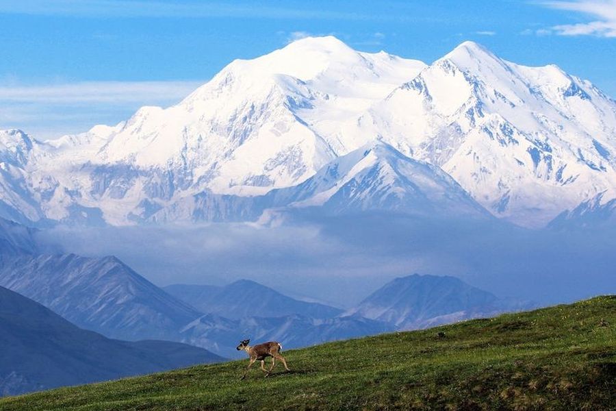 Uitzicht op de bergen van Denali National Park in Alaska.