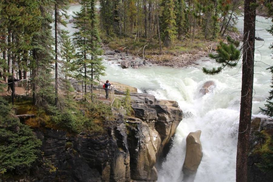 Uitzicht op de Sunwapta Falls in Alberta in Canada.