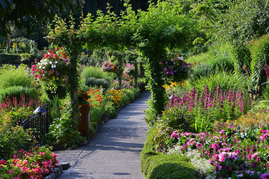 De bloeiende tuinen van Butchart Gardens in Victoria op Vancouver Island in Canada.