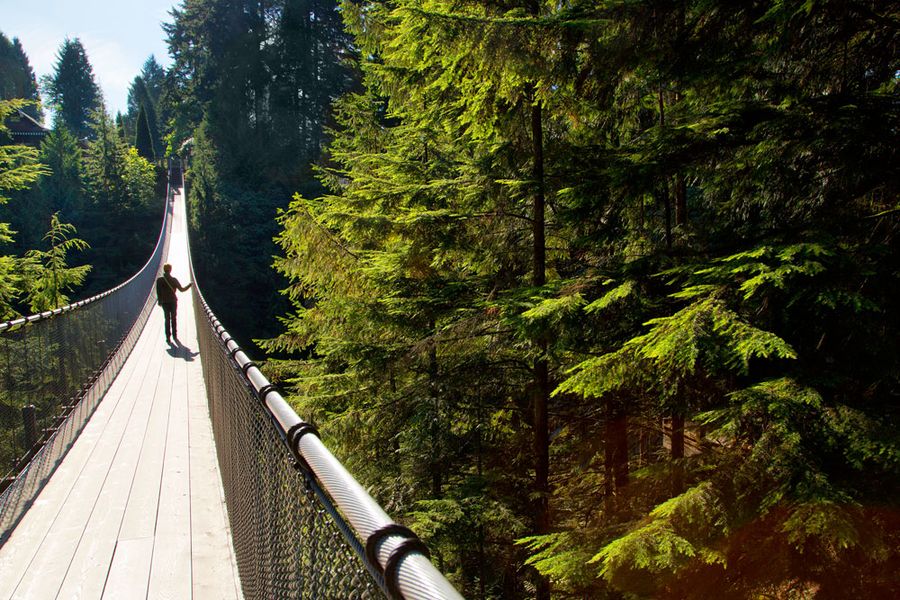 Mensen op de Capilano Suspension Bridge in British Columbia in Canada.