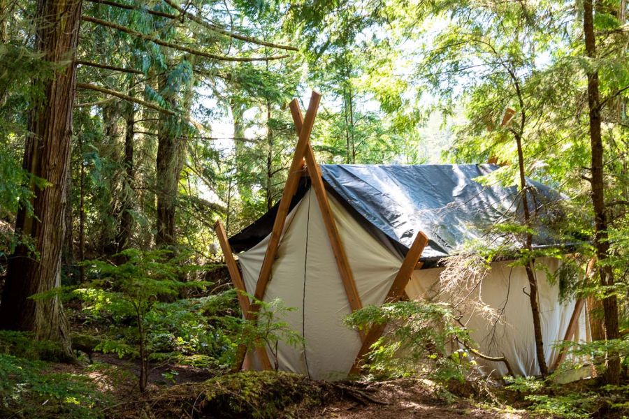 Tent in de wildernis van Vancouver Island tijdens een kajaktocht in British Columbia in Canada.