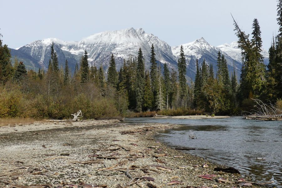 De oever van de Quesnel River in de Cariboo Mountains in British Columbia in Canada.