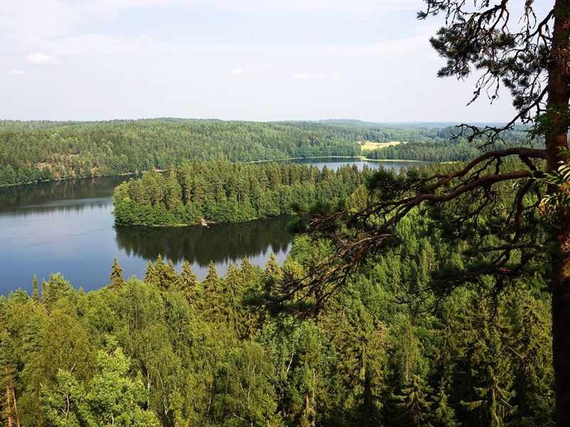 19-Daagse Mökki Tour Ukko incl. vlucht & autohuur