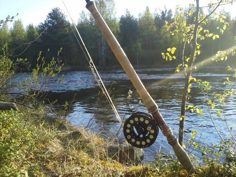 Vissen in Finland