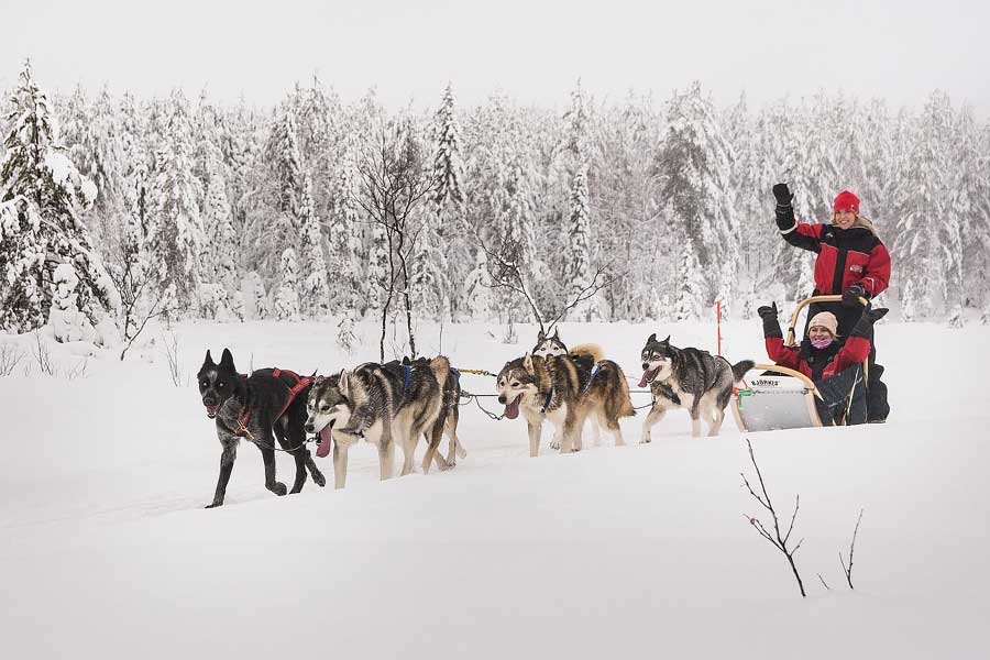 Ruka Basis voordeel excursie-pakket