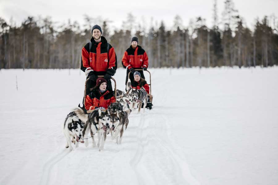 Huskysafari in Saariselka
