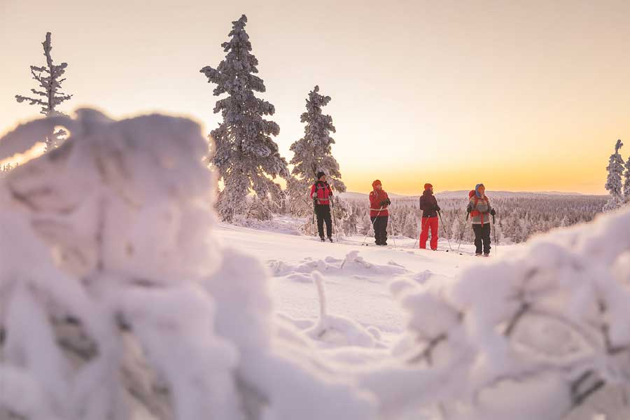 Fell Centre Kiilopaa Hotel Saariselka, Lapland 2021/22