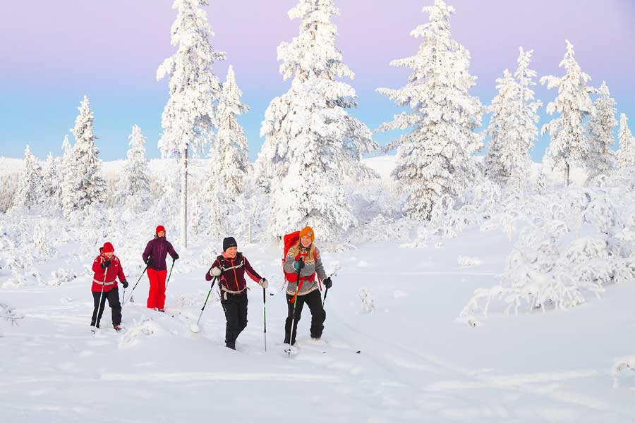 Fell Centre Kiilopaa Log Cabins Saariselka, Lapland 2021/22