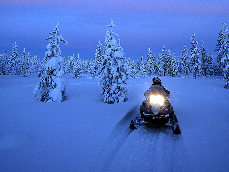 Winterstemming