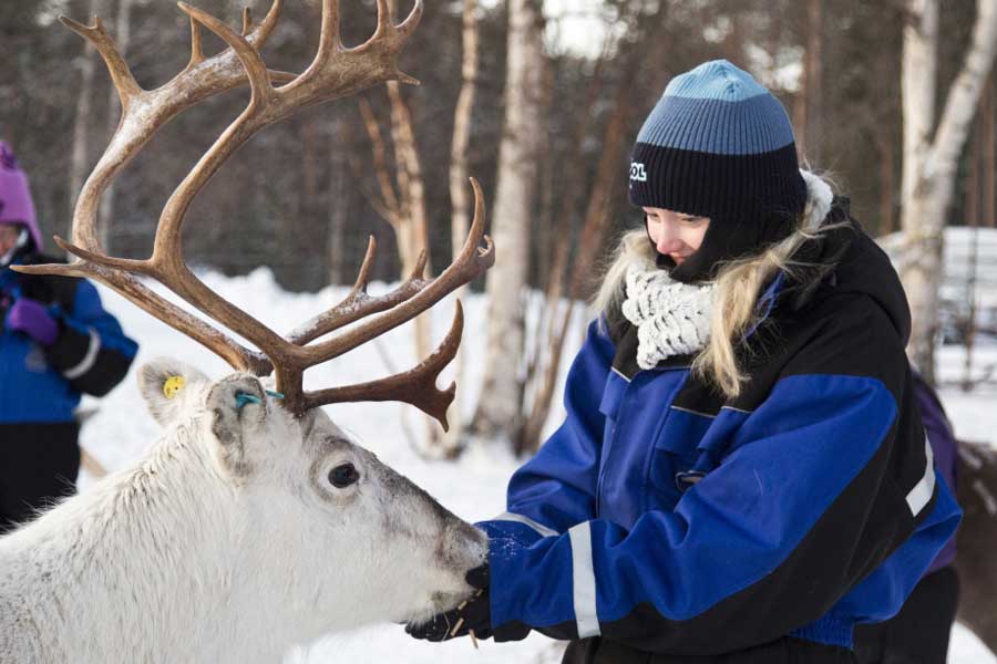 Muotka Wildernishotel winteravontuur, Lapland 2021/2022