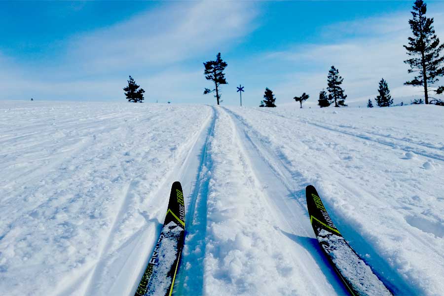 Muotka Wildernishotel winteravontuur, Lapland 2021/2022