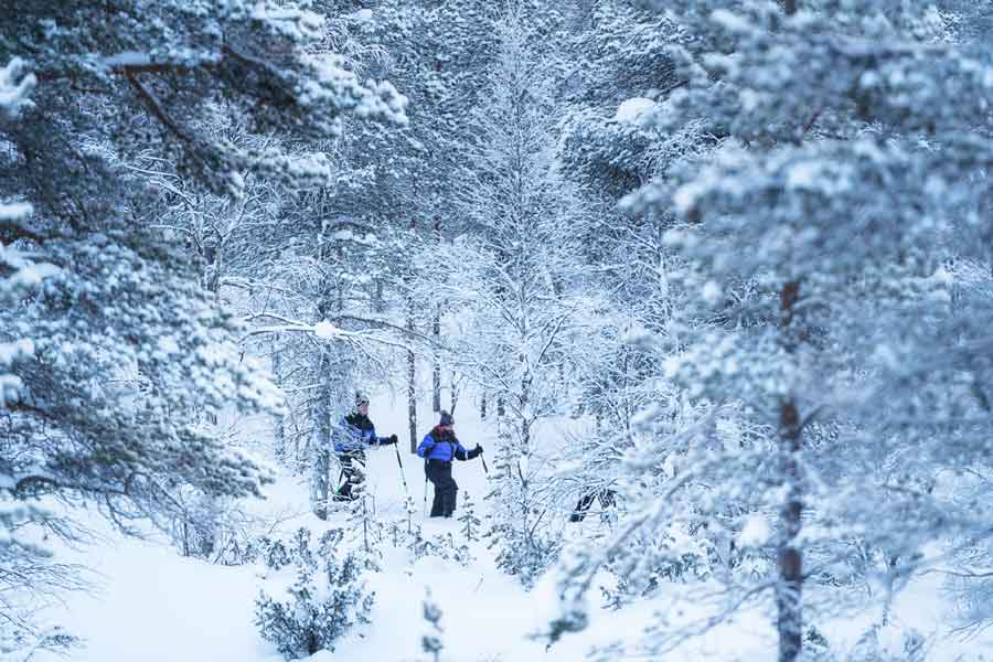 Muotka Wildernishotel winteravontuur, Lapland 2021/2022