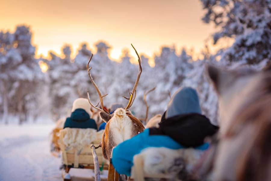 Muotka Wildernishotel winteravontuur, Lapland 2021/2022