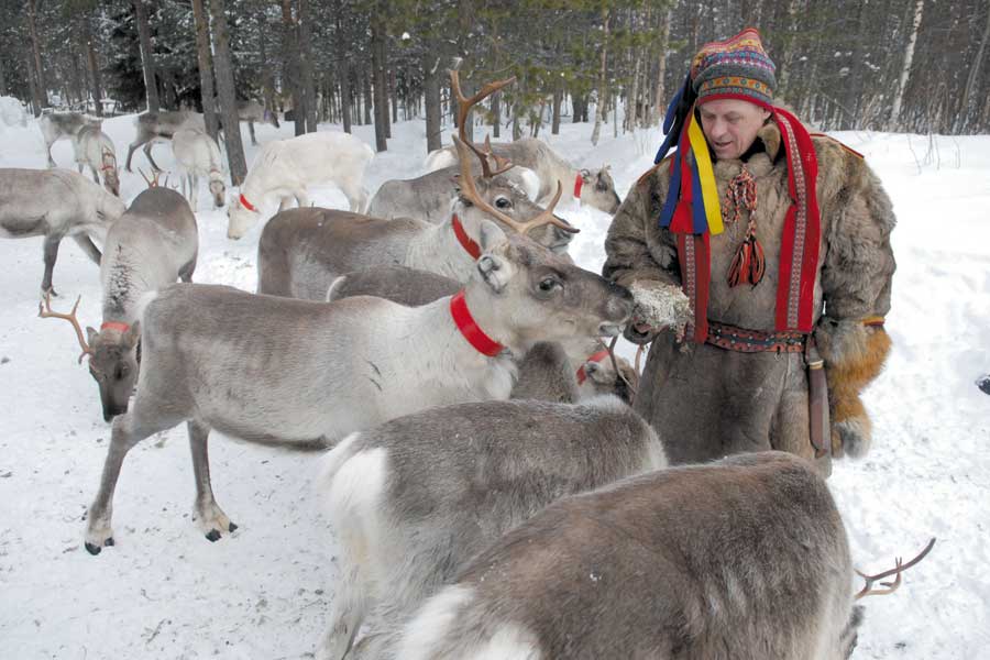 Rukan Salonki Blokhutchalets, Ruka Lapland 2021/2022