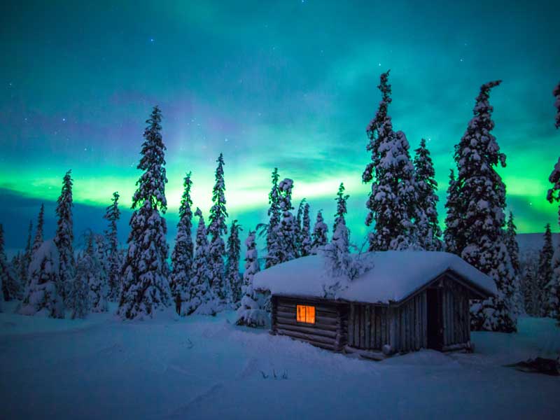 Ontdek de wildernis van Lapland, huskyavontuur 2020/2021