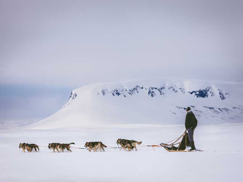 Ontdek de wildernis van Lapland, huskyavontuur 2020/2021