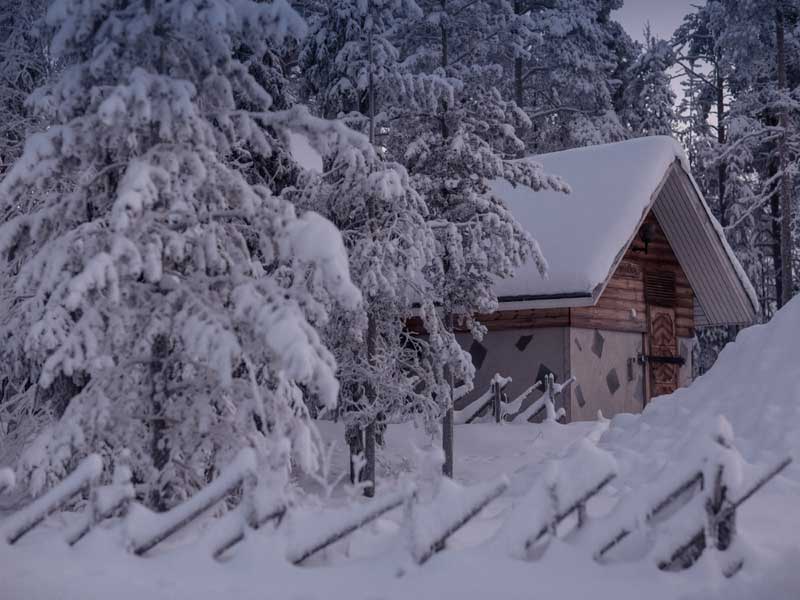 Ontdek de wildernis van Lapland, huskyavontuur 2020/2021