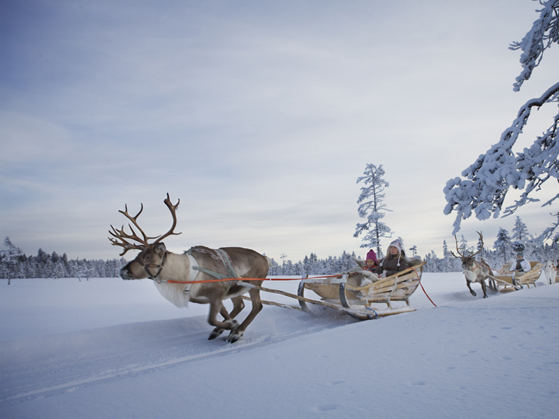 Lapland Levi