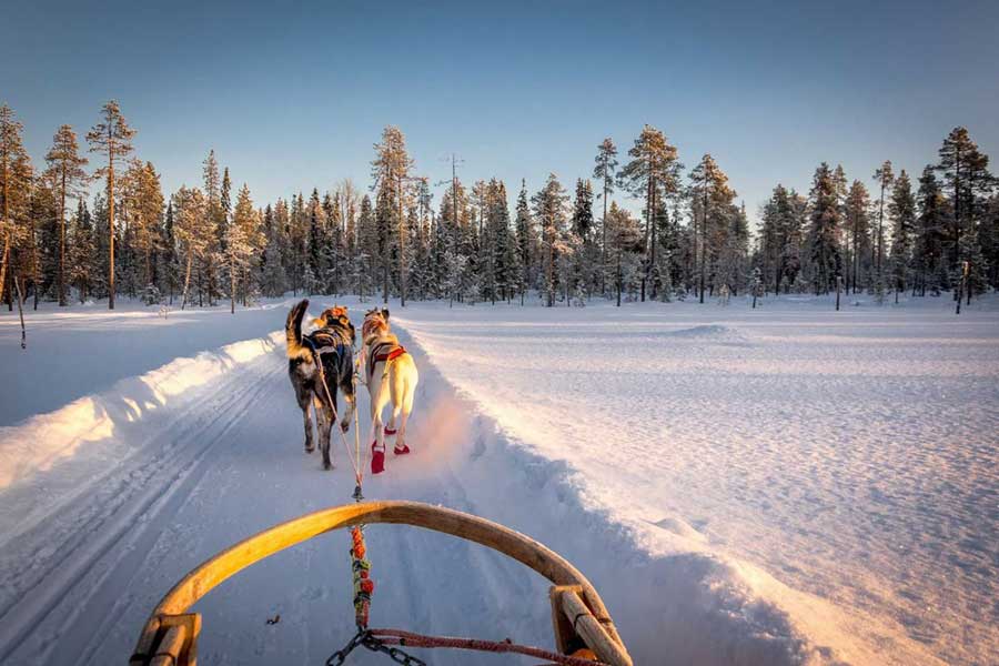 Levi Hotel Spa, Levi Lapland 2021/2022