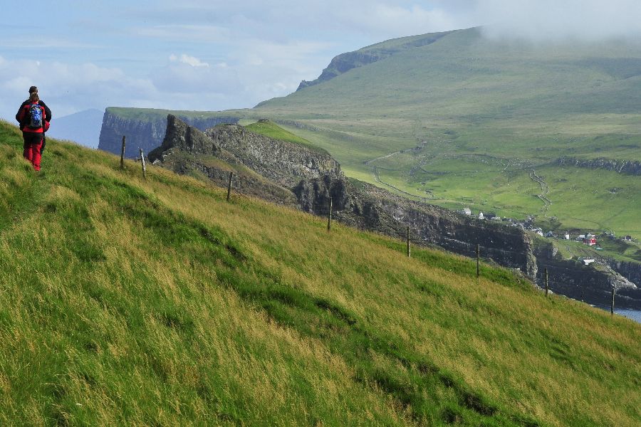 Mykines Puffin Island dagexcursie