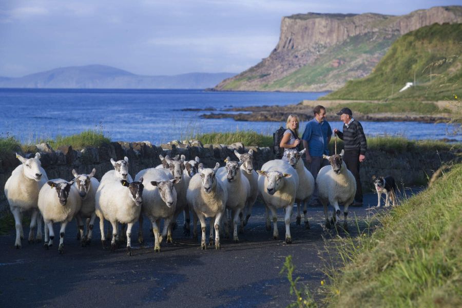 Fly Drive Belfast met KLM