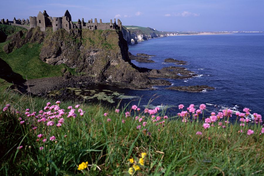 Belfast City trip met Giants Causeway