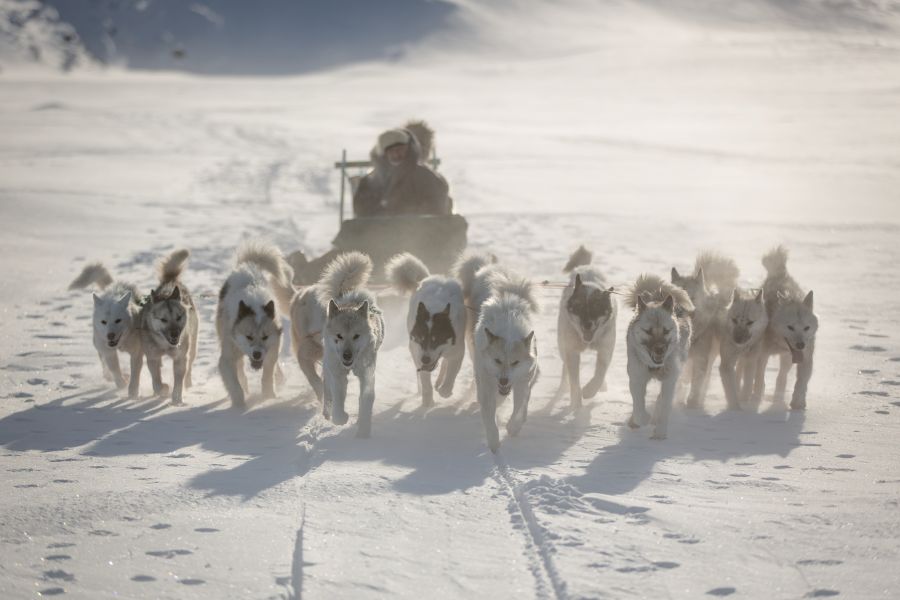 Ilulissat Groenland