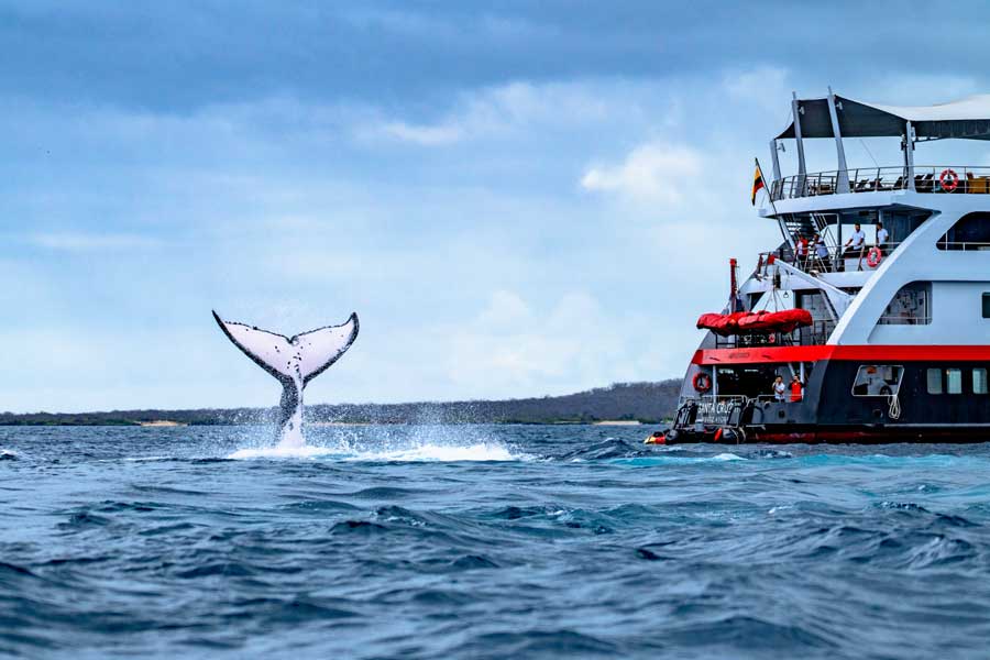 Hurtigruten expeditie Galapagos met BBI Travel