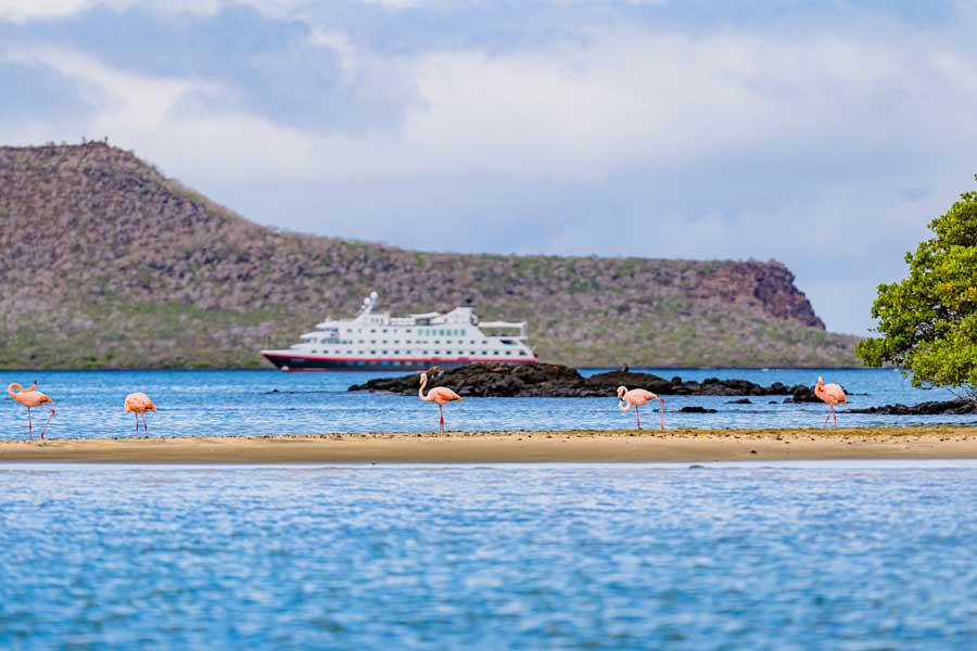 Hurtigruten expeditie Galapagos met BBI Travel