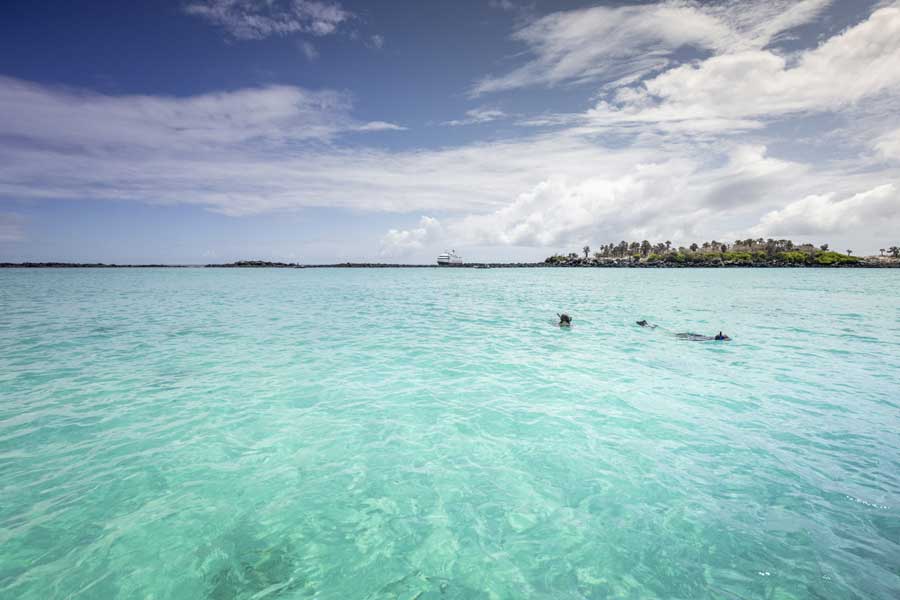 Hurtigruten expeditie Galapagos met BBI Travel
