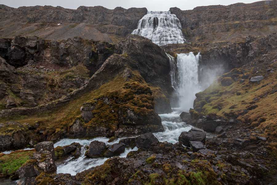 Hurtigruten expeditie IJsland met BBI Travel