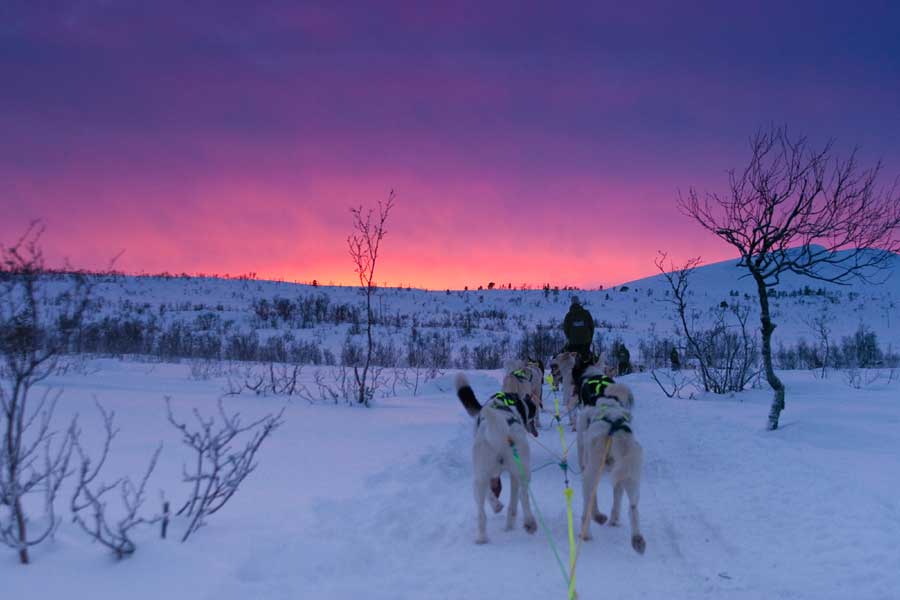 Hurtigruten Kerst reis Bergen - Kirkenes - Bergen