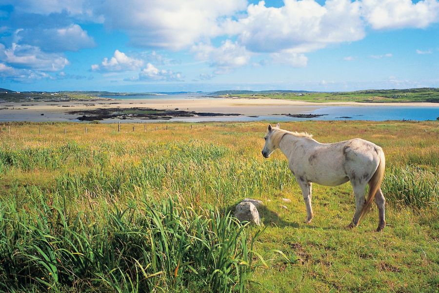 Eigen auto rondreis Westkust Ierland - Hotels